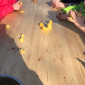 Kneten mit Bienenwachs