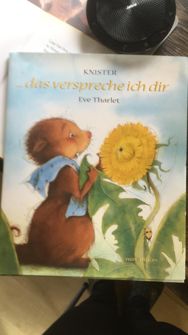 PROJEKT - DER LÖWENZAHN | Kindergarten und Krippe Regenbogen