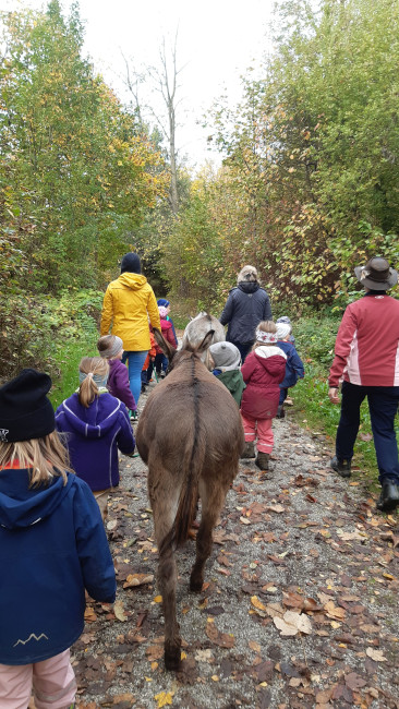 Eselwanderung